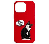 What is Wrong with You? Cat Funny Humor Carcasa para iPhone 16 Pro