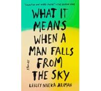 What It Means When A Man Falls From The Sky (ebook)