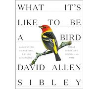 What It's Like to Be a Bird: From Flying to Nesting, Eating to Singing--What Birds Are Doing, and Why (Sibley Guides)