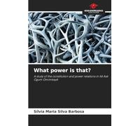 What power is that?: A study of the constitution and power relations in Ilê Asé Ogum Omimkayê