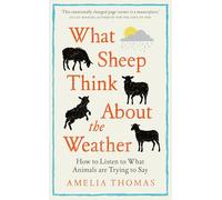 What Sheep Think About the Weather: How to listen to what animals are trying to say - The perfect stocking filler for the animal lover in your life