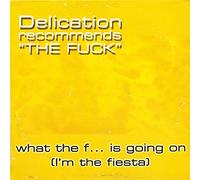 What the f... is going on (I'm the fiesta; 4 versions, incl. Andre Basho Remix, 2001) / Vinyl Maxi Single [Vinyl 12'']