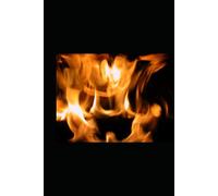 What The Fire Didn't Take: Breaking The Chain, Reclaiming My Voice