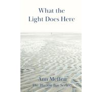 What The Light Does Here: A Cape Cod Love Story (Harlow Bay Series)
