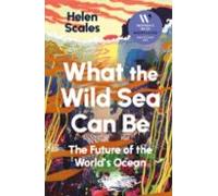 What The Wild Sea Can Be