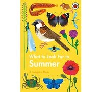 What to Look For in Summer (A Ladybird Book)