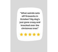 What weirdo sets off fireworks in October? My dog's just gone crazy & knocked the christmas tree over!! - A4 100 pages - Notebook