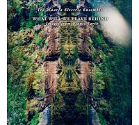 What Will We Leave Behind [Vinilo]