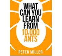 What You Can Learn From 10000 Ants (ebook)