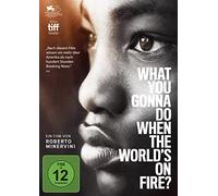 What You Gonna Do When the World's on Fire? [Alemania] [DVD]