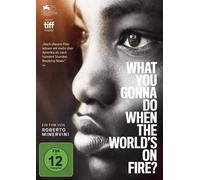 What You Gonna Do When the World's on Fire? (DVD)