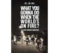 What You Gonna Do When The World's On Fire [USA] [DVD]