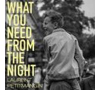 what you need from the night (audiolibro)