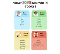 What ZONE are you in today ?: An educational resource that helps children identify their emotions and build calming strategies