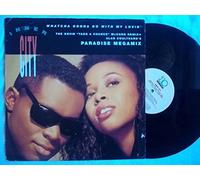 Whatcha gonna do with my lovin' (Kevin 'Take a Chance' McCord Remix, incl. Paradise Megamix) / Vinyl Maxi Single [Vinyl 12'']