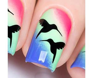 Whats Up Nails - Colibri Vinyl Stencils for Nail Art Design (2 Sheets, 40 Stencils Total)