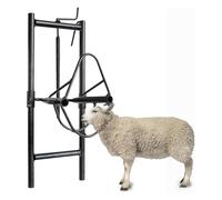 WhBeoy Soporte Elevable para Cabeza De Oveja Y Cabra, Fácil De Montar Y Usar, 16,5 X 20,5 Cm + Cuerda De 100 Cm, para Uso Doméstico Y Agrícola.,A