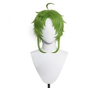 WHBHD 2022 Sylphiette greyrat Wig desempleado reencarnación Cosplay Mushoku Tensei Wig Cosplay Anime Wigs Pelucas sintéticas Resistentes al Calor