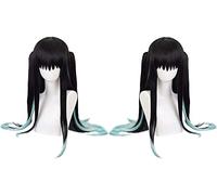 WHBHD Anime Cosplay Pelucas Demon Slayer Tokitou Muichirou Cabello Largo Recto Tigre Peluca de Peluca Peluca de Cosplay+ Peluca Cap