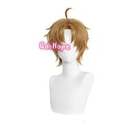 WHBHD Rudeus greyrat Cosplay desempleado reencarnación Cosplay Mushoku Tensei 30 cm Brown Wig Cosplay Anime Resistente al Calor Peluca sintética