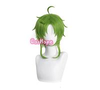 WHBHD Sylphiette Greyrat Cosplay desempleado Reencarnation Cosplay Mushoku Tensei Wig Verde Cosplay Anime Resistente al Calor Pelucas sintéticas