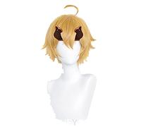 WHBHD Tohma Cosplay Wig Juego Genshin Impact Tohma Gold Ponytail Carril Resistente al Calor Cabello sintético de Halloween Party Play Pelucas + Paño de Peluca