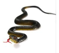 WheatThrive Serpiente de goma falsa realista de 45 cm, juguete de broma suave con lengua afuera, accesorio de simulación aterrador para disuasión de pájaros de jardín de Halloween