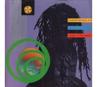 Wheeler, Caron - Livin'In the Light [Vinilo]