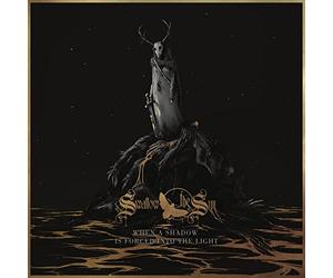 When A Shadow Is Forced Into The Light