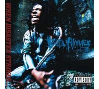 When Disaster Strikes by BUSTA RHYMES (2008-01-13)