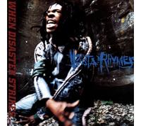 When Disaster Strikes by BUSTA RHYMES