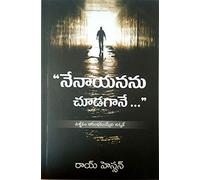 నేను ఆయనను చూడగానే -WHEN I SAW HIM (TELUGU)