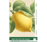 When Life Gives You Lemons - Reflections: 10 Everyday Short Stories vol. 001 - B1-B2 (+ Audio-Online): Englisch lernen mit Herz - berührende Geschichten und praktische Wortschatzhilfen