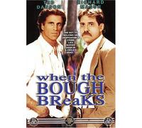 When the Bough Breaks [USA] [DVD]
