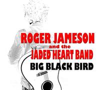 Roger Jameson - Until It All Collides