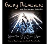 When the Sky Came Down(Live at the Bridgewater Hal