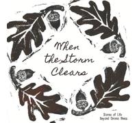 When the Storm Clears: Stories of Life Beyond Chronic Illness