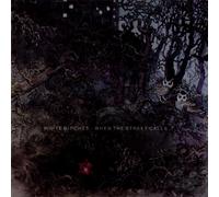 When the Street Calls (Vinyl) White Birches
