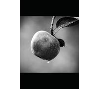 When We Fell Silent: A Story of Love, Loss, and Finding Home Again