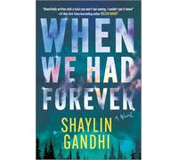 When We Had Forever: A Novel