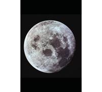 WHEN WE LEARNED TO STAY: Chronicles of a Humanity That Chose to Care