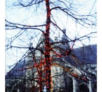 When You Are Here You Are Family by Adrian Crowley (2002-01-29)