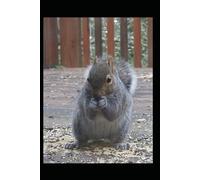 When You Give a Squirrel Caffeine