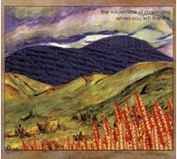 When You Left the Fire by Wilderness of Manitoba