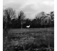 When You Run Away Do You Close Your Eye [Vinilo]