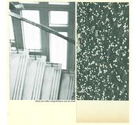When You Walk a Long Distance You Are Tired [Vinilo]
