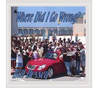 Where Did I Go Wrong