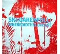Where Did The Love Go - Ski Oakenful 12"