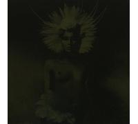 Where Did the Night Fall-Another Night Out by U.N.K.L.E. (2011-08-03)