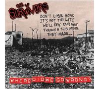 Where Did We Go Wrong?